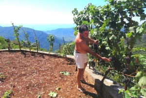 Unique gastro experience with locals in hills above Budva!