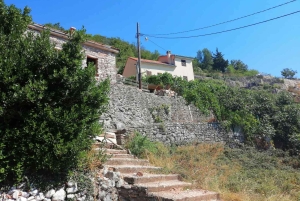 Unique gastro experience with locals in hills above Budva!