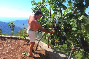 Unique gastro experience with locals in hills above Budva!