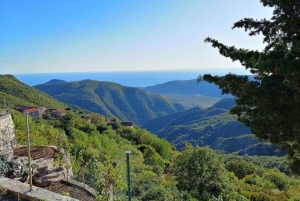 Unique gastro experience with locals in hills above Budva!