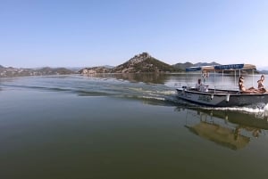 Virpazar: 2 hour Skadar lake scenic boat tours
