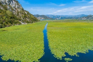 Virpazar: Lake Skadar Panoramic Boat Tour to Kom Monastery