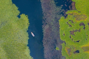 Virpazar: Lake Skadar Panoramic Boat Tour to Kom Monastery