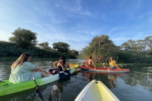Virpazar: Skadar Lake Nature Kayak Tour