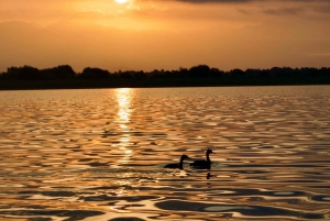 Virpazar: Skadar Lake Nature Kayak Tour