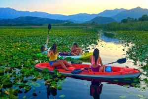 Virpazar: Skadar Lake Nature Kayak Tour with Written Guide