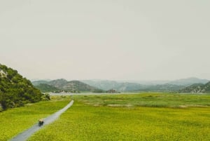 Virpazar: Guided Lake Skadar Cruise and Crnojevića River