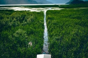 Virpazar: Private & Group Guided Lake Skadar Boat Tour