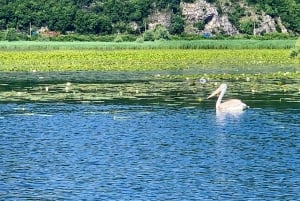 Virpazar: Private & Group Guided Lake Skadar Boat Tour