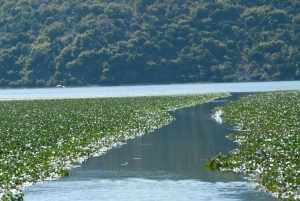 Virpazar–Skadar Lake: 2h cruise on a traditional wooden boat