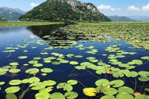 Virpazar–Skadar Lake: 2h cruise on a traditional wooden boat