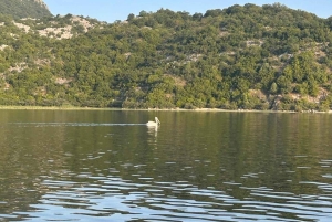 Virpazar–Skadar Lake: 2h cruise on a traditional wooden boat