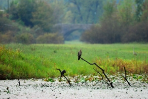Virpazar–Skadar Lake: 2h cruise on a traditional wooden boat