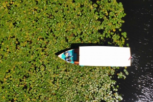 Virpazar: Skadar Lake Guided Nature Cruise with Drinks