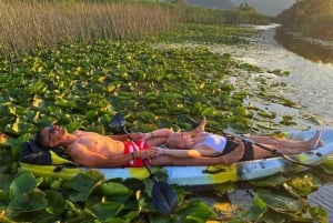 Virpazar: Skadar Lake Nature Kayak Tour