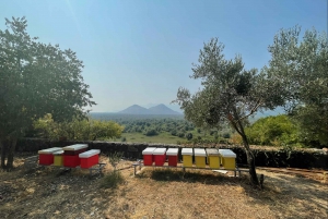 Virpazar: Skadar Lake PRIVATE Boat Tour to KOM MONASTERY