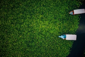 Virpazar: Skadar Lake PRIVATE Boat Tour to KOM MONASTERY