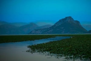 Virpazar: Skadar Lake PRIVATE Boat Tour to KOM MONASTERY