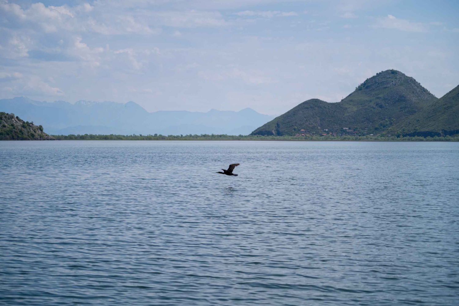 Virpazar: Lake Skadar Private Wildlife Cruise & Wine Tasting