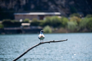 Virpazar: Lake Skadar Private Wildlife Cruise & Wine Tasting