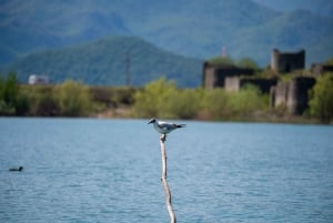 Virpazar: Lake Skadar Private Wildlife Cruise & Wine Tasting