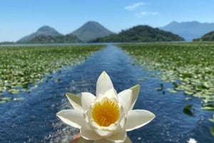 Virpazar – Skadar Lake: sunrise and sunset cruise