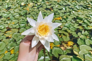Virpazar: Skadar Lake by Boat and Kom Monastery Guided Tour