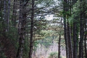 Vrmac Hiking Private Tour