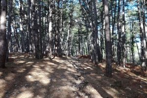 Vrmac Hiking Private Tour