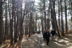 Vrmac Hiking Private Tour