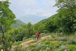 Vrmac Hill E-MTB Adventure