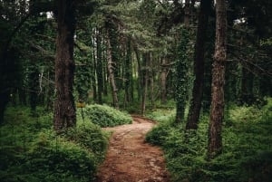 Vrmac Hill E-MTB Adventure