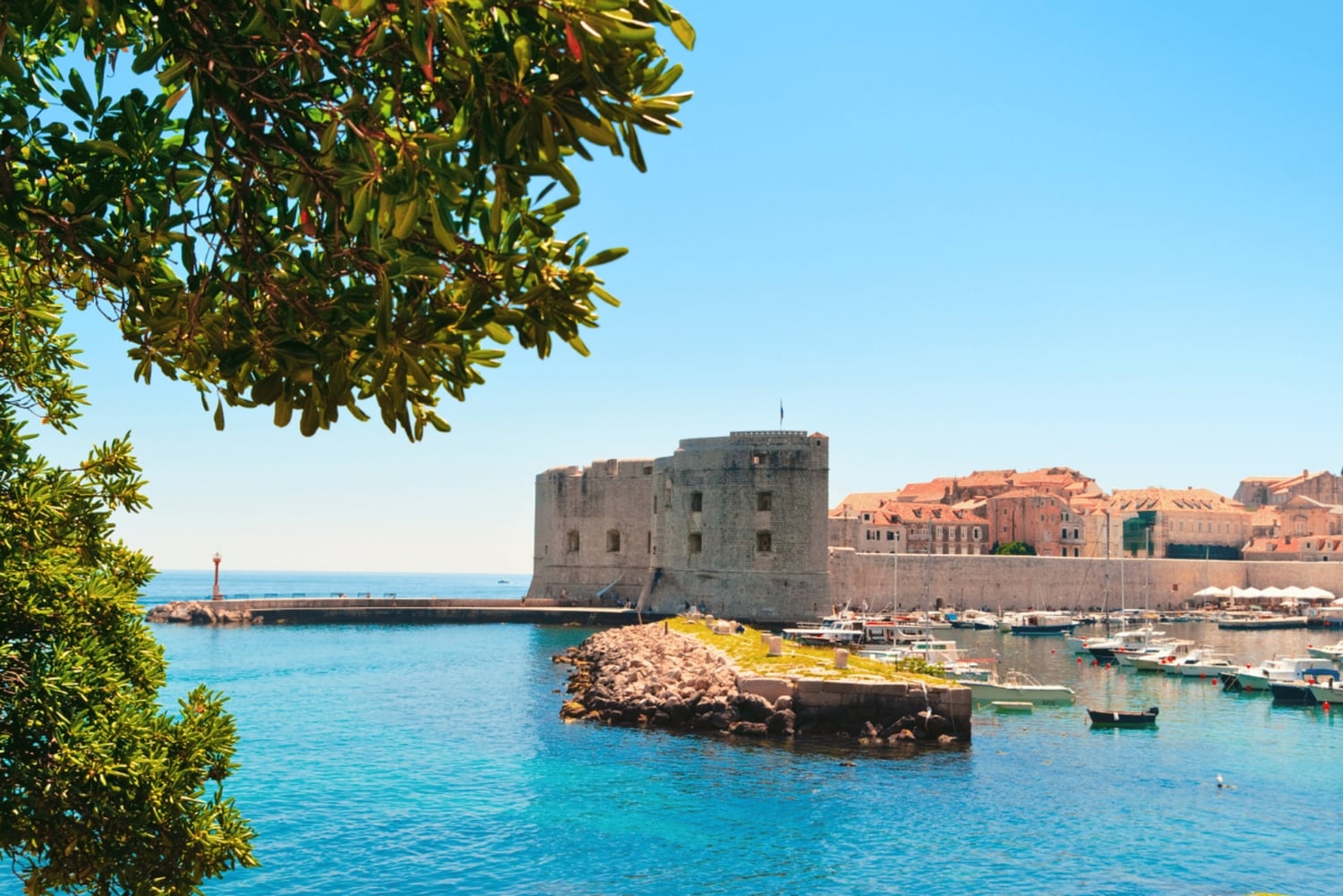Walking tour of Dubrovnik with transport from Budva