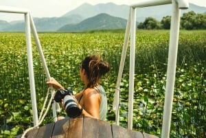 Virpazar: Lake Skadar Sunset Boat Cruise with Wine Tasting