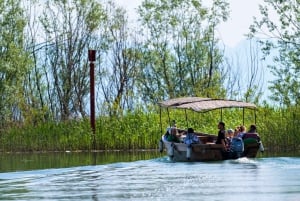 Virpazar: Lake Skadar Sunset Boat Cruise with Wine Tasting