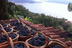 Kotor: Herceg Novi, Savina Monastery and Wine Tasting Tour
