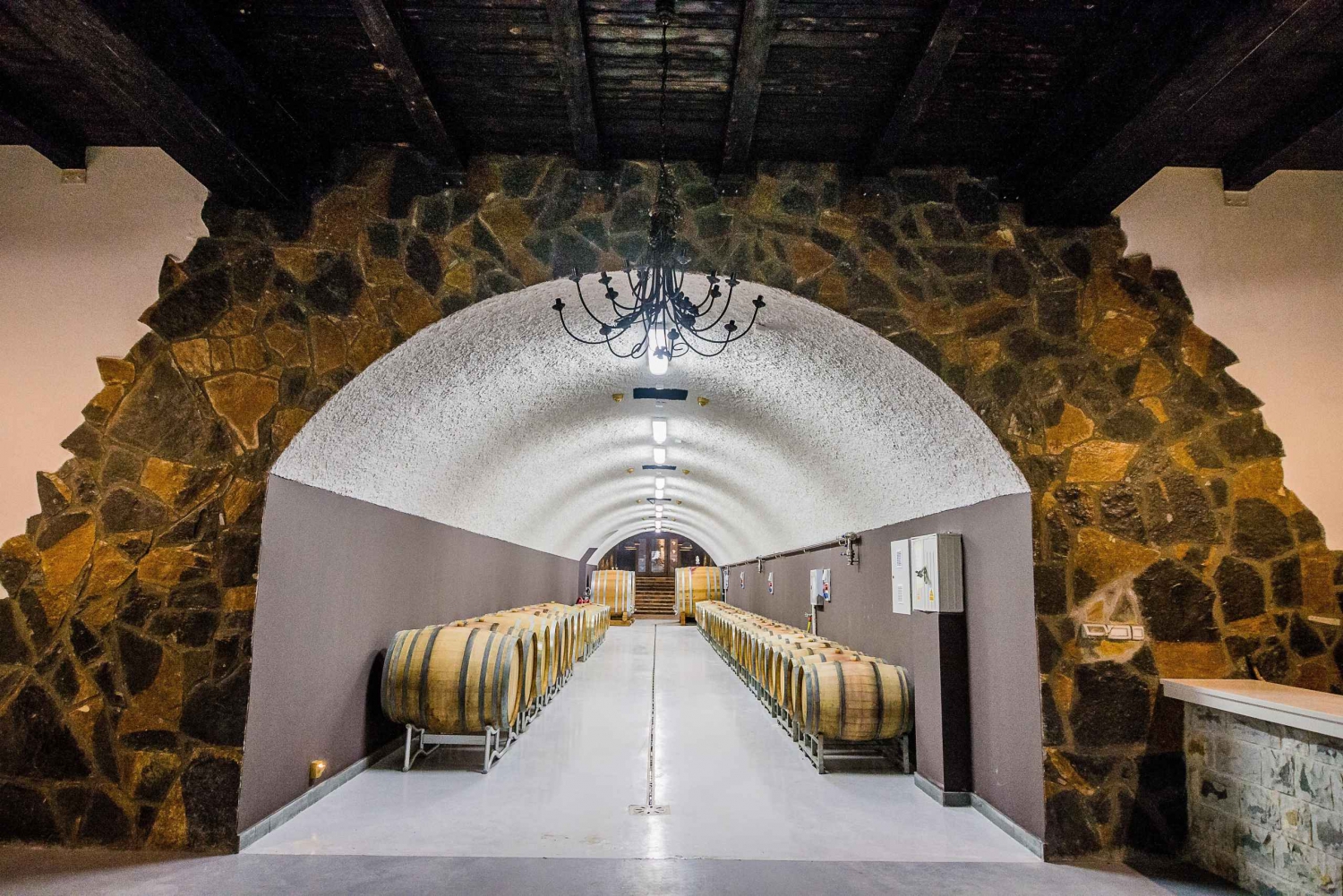 Winery Tour and Tasting at Winery Lipovac