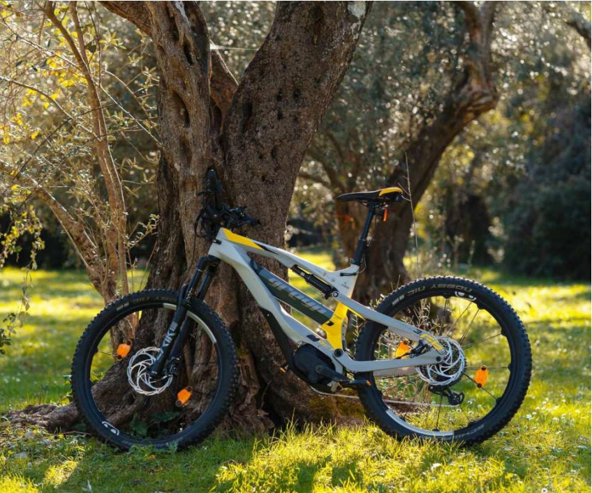 E-Biking