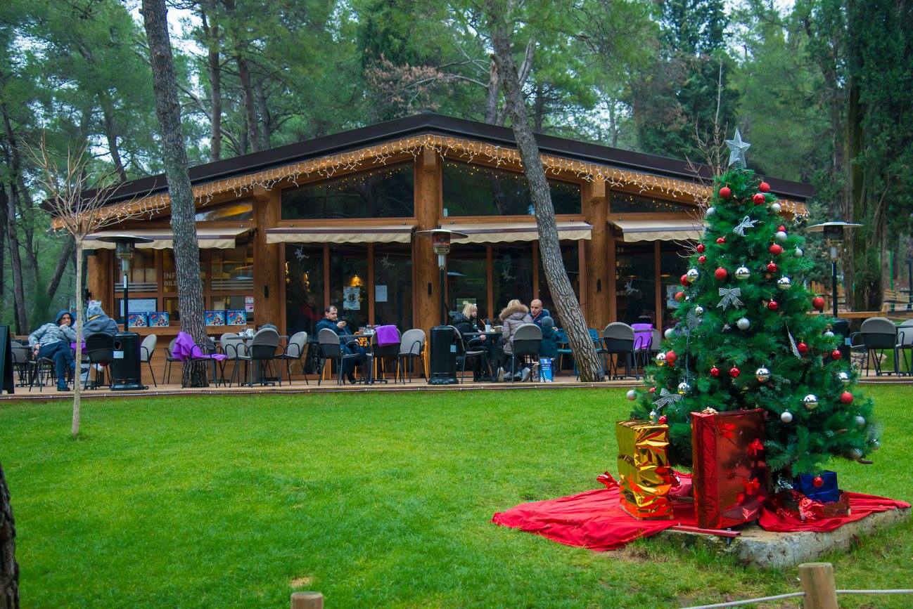 Special Offer: December at Adventure Park Gorica