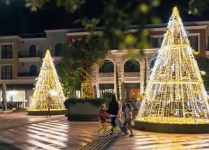 Boxing Day - Lustica Bay