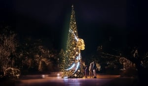 Festive Lights On - Lustica Bay