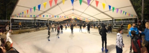 Ice Skating in Podgorica