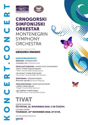 Montenegrin Symphony Orchestra