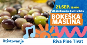 The Boka Olive