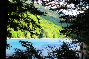 Biograd Virgin Forest and Lake