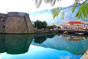 Port of Kotor