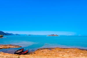 Shores of Lake Skadar