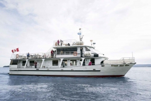 Berthier-sur-Mer: Razorbill Penguin Observation Cruise