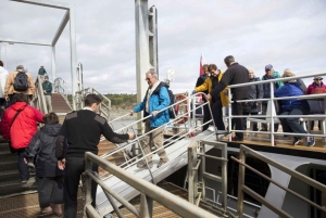 Berthier-sur-Mer: Razorbill Penguin Observation Cruise