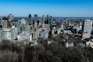 Il meglio di Montréal: Tour privato a piedi con un abitante del posto